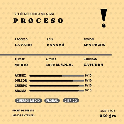 Café de Especialidad Edición Limitada 111 Latas - El Proceso | 250g